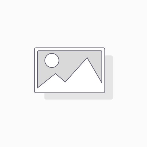 Property Search Report